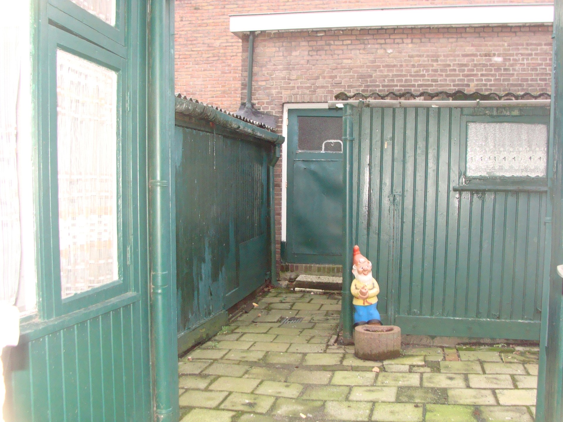 DSC08768.JPG
