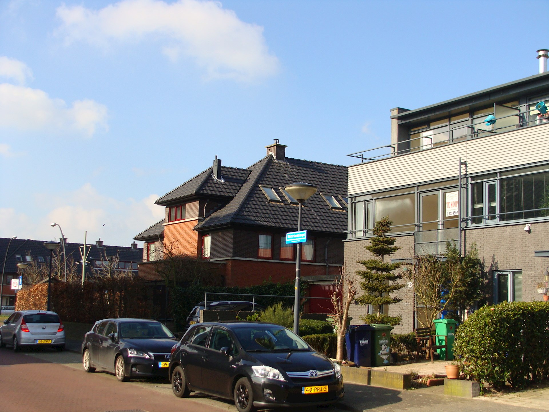 DSC08770.JPG