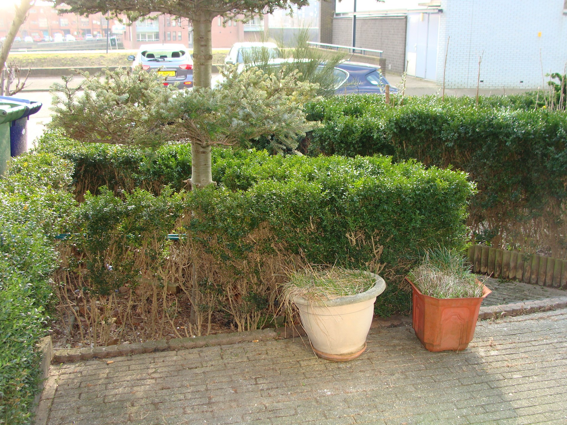 DSC08809.JPG