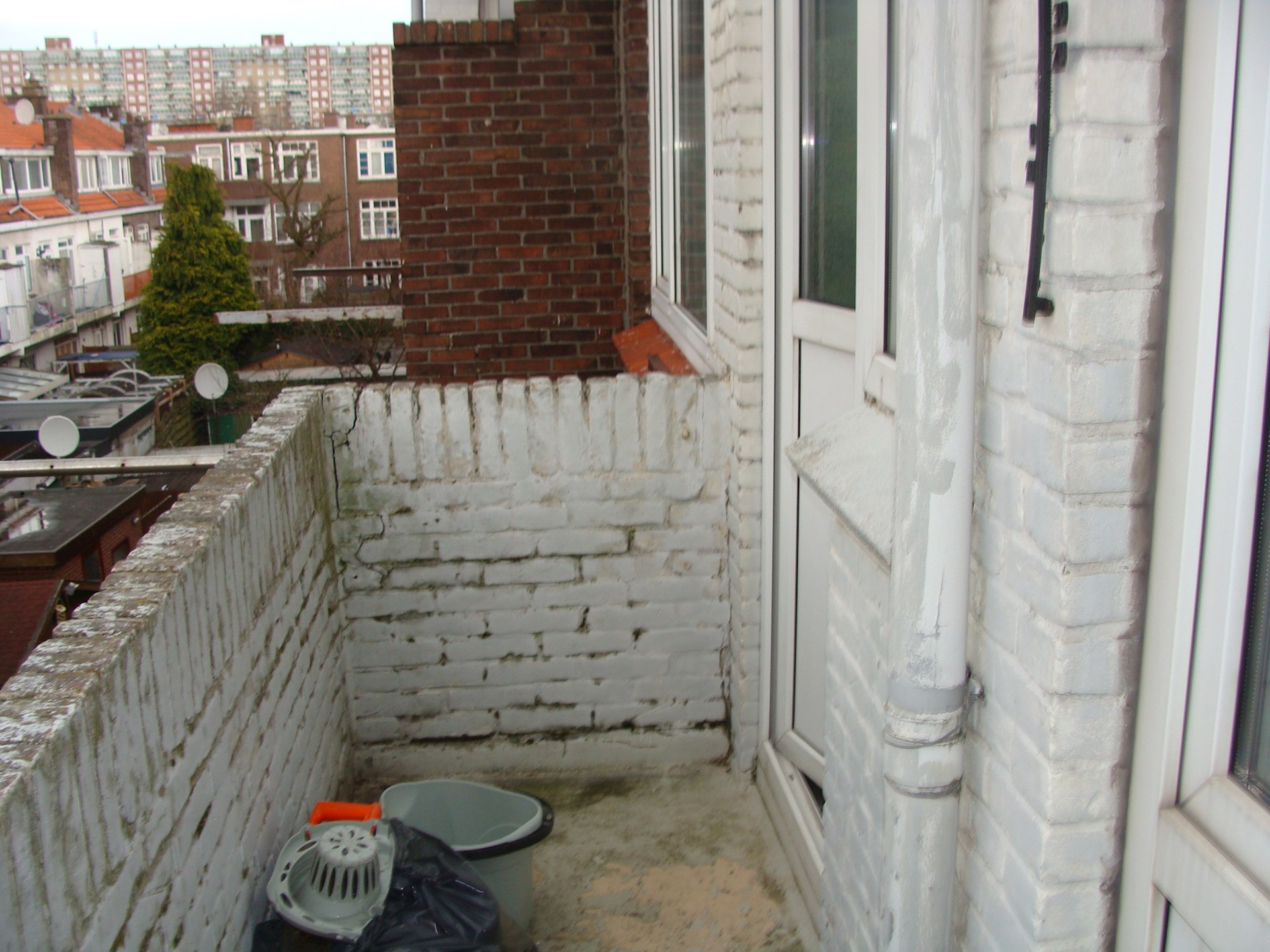 DSC08834.JPG