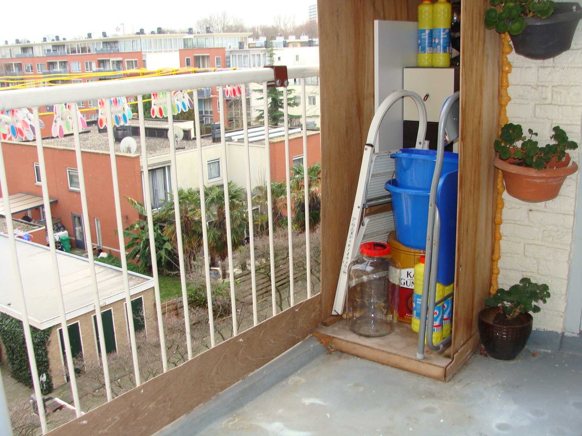 DSC08970.JPG (1)