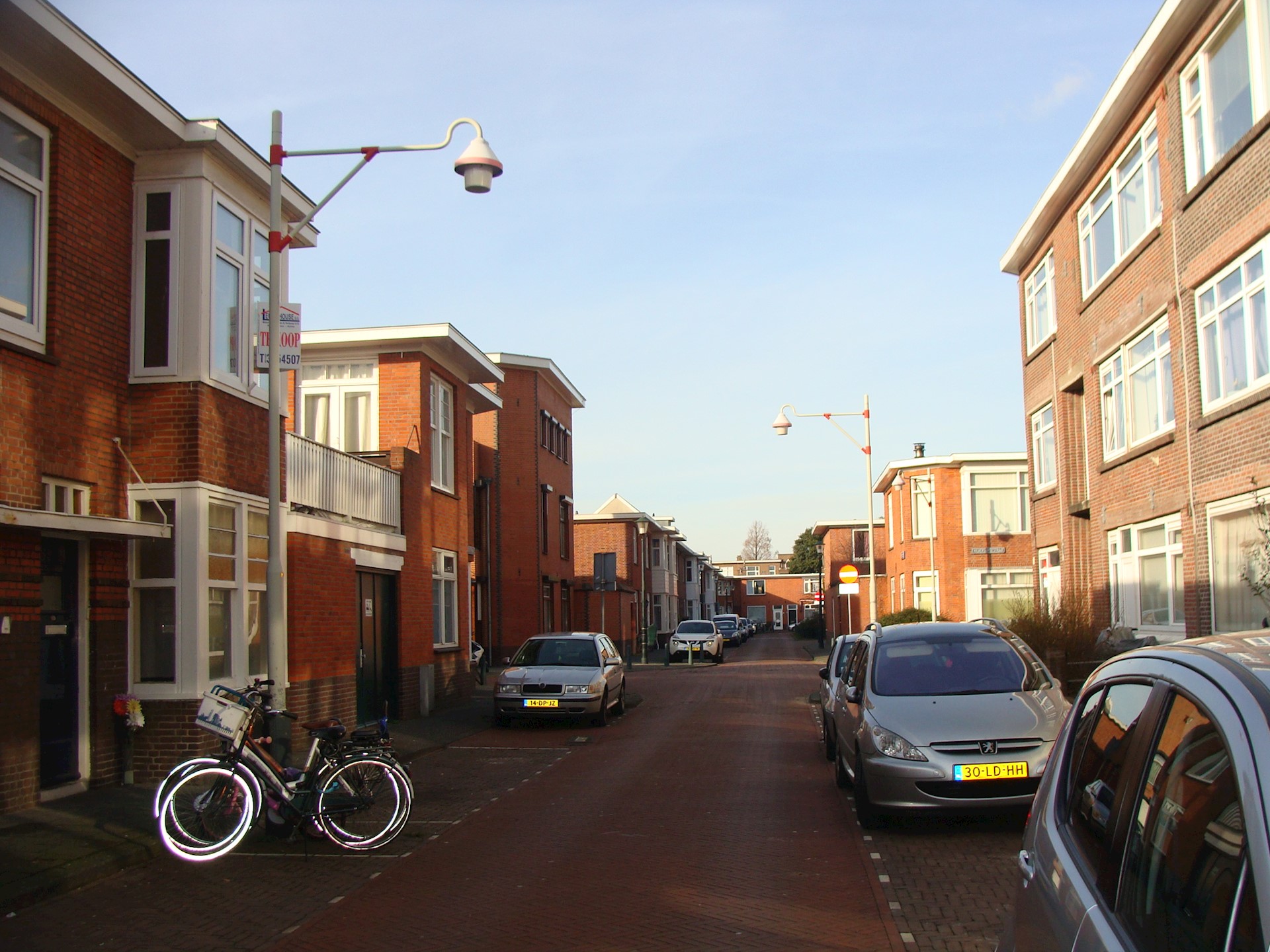 DSC08989.JPG