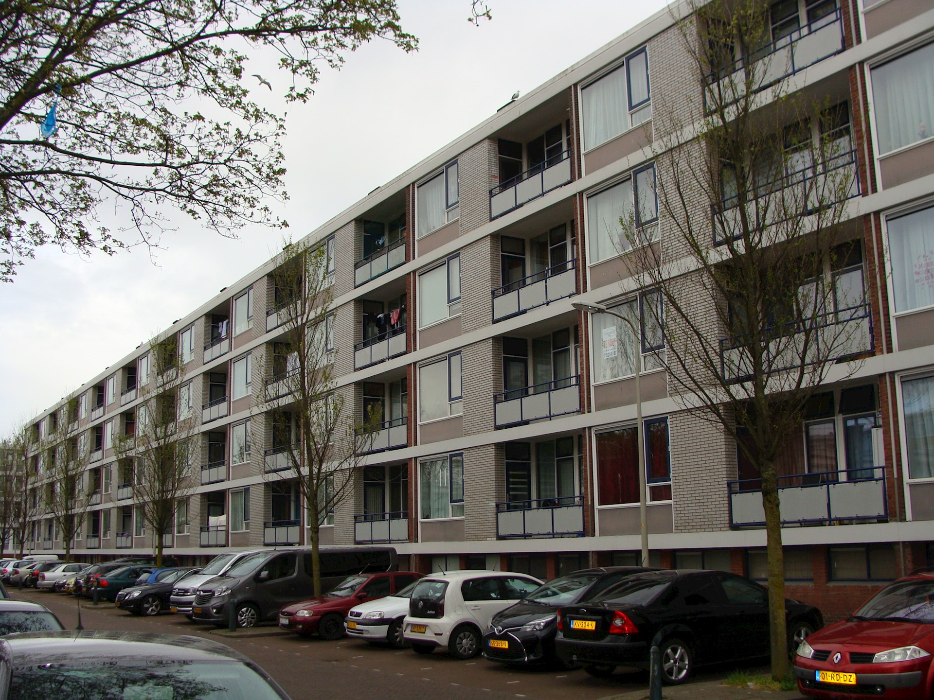 DSC2.JPG