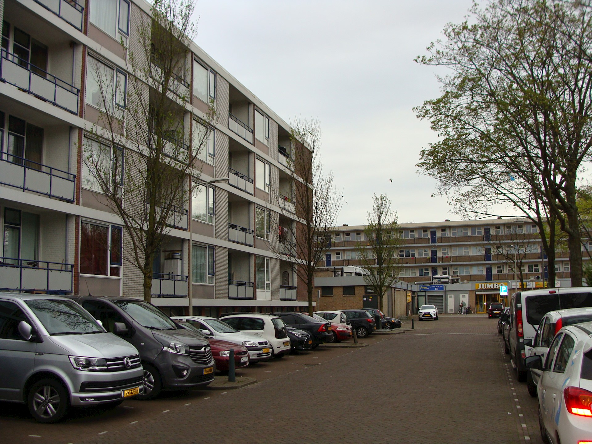 DSC4.JPG