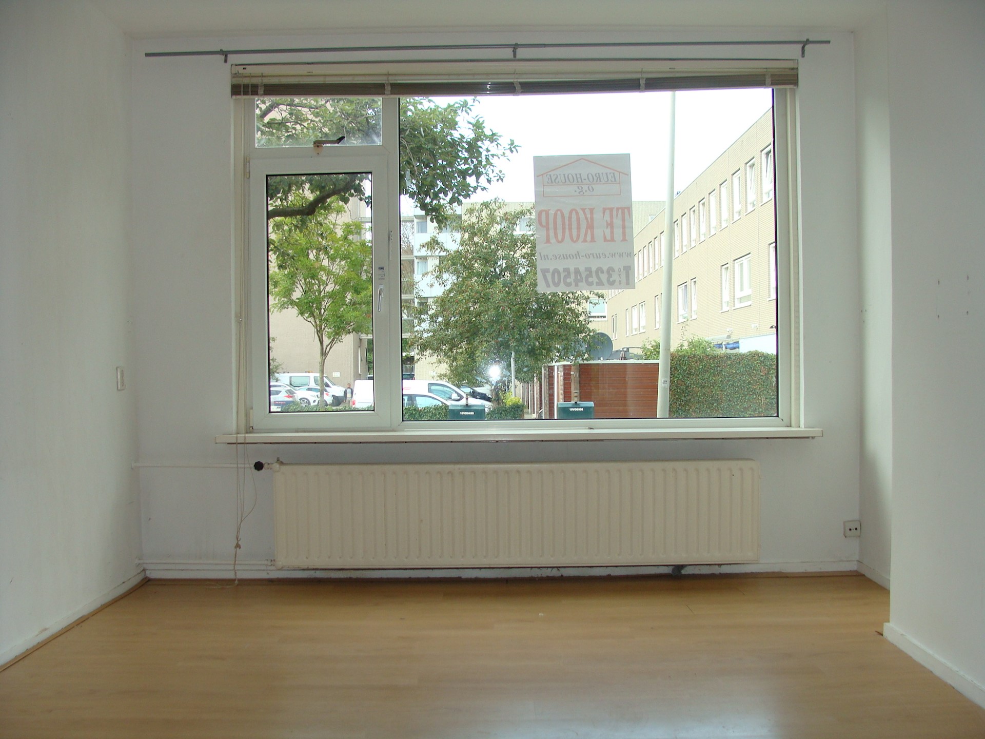DSC09076.JPG