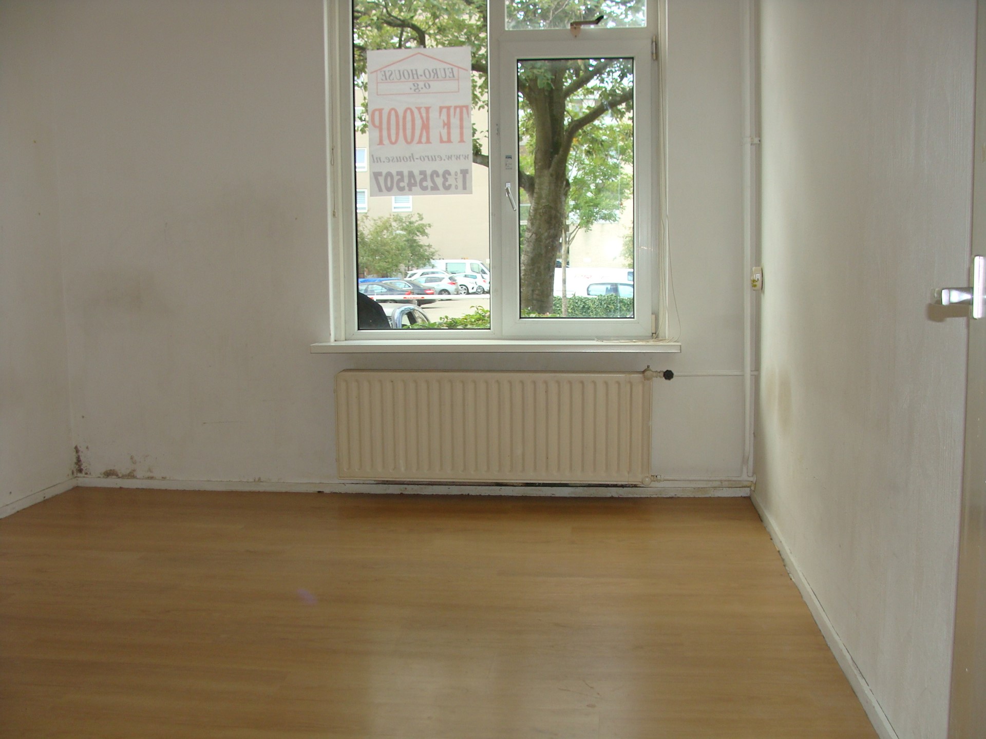 DSC09080.JPG