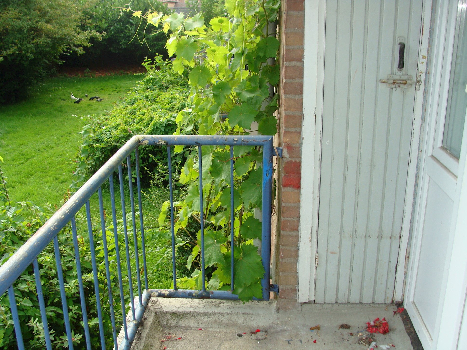 DSC09087.JPG