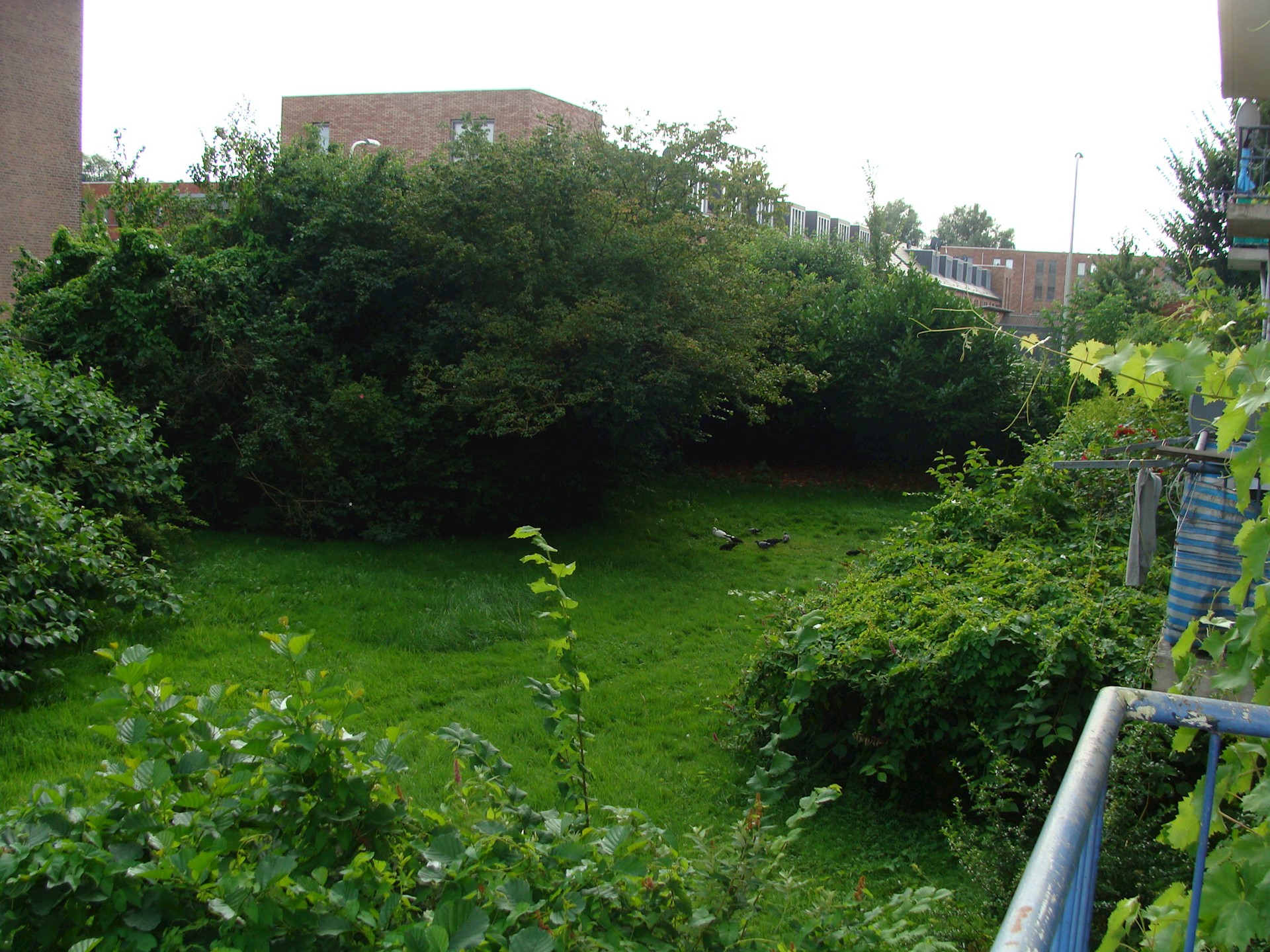 DSC09088.JPG