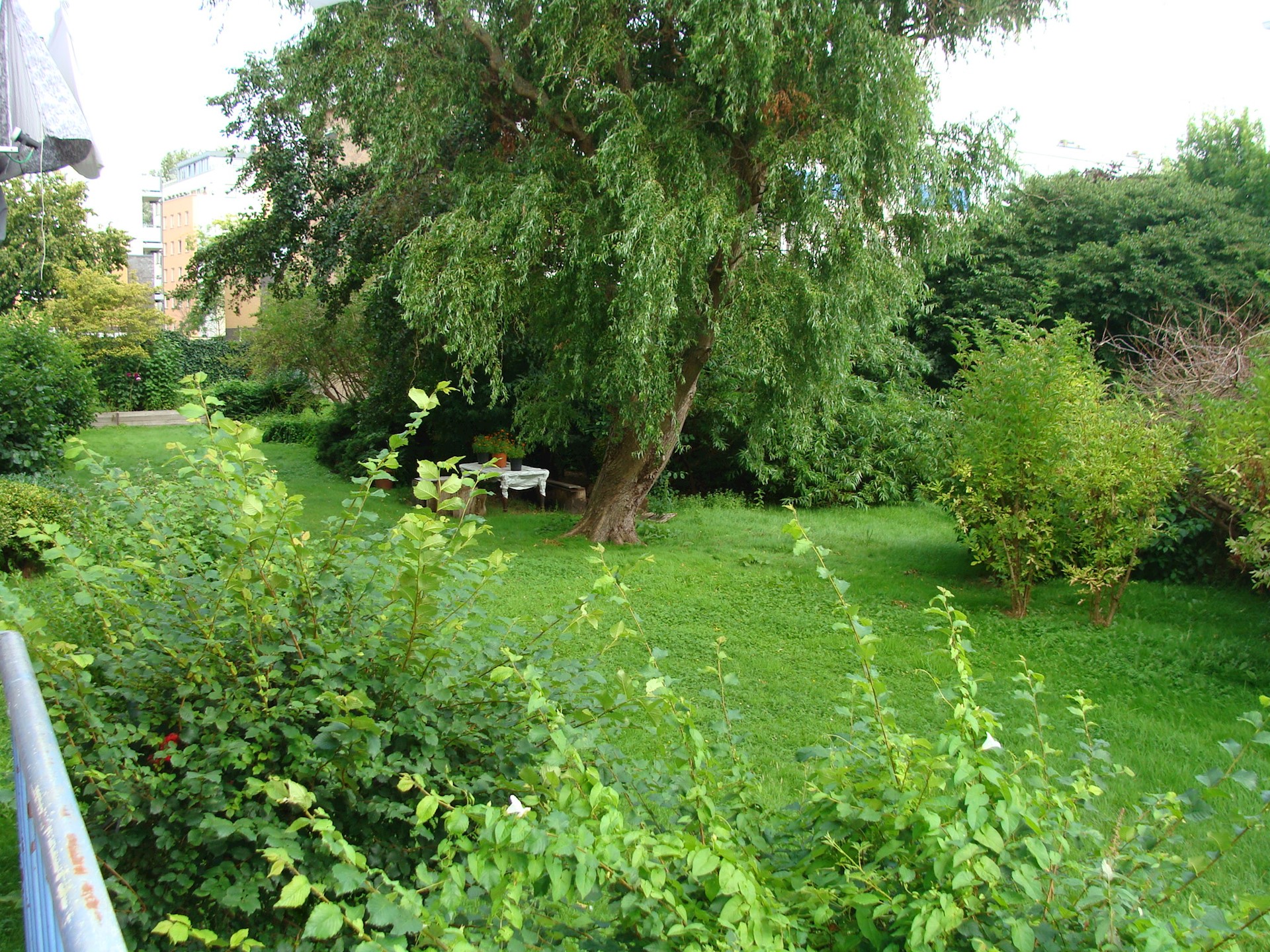 DSC09089.JPG