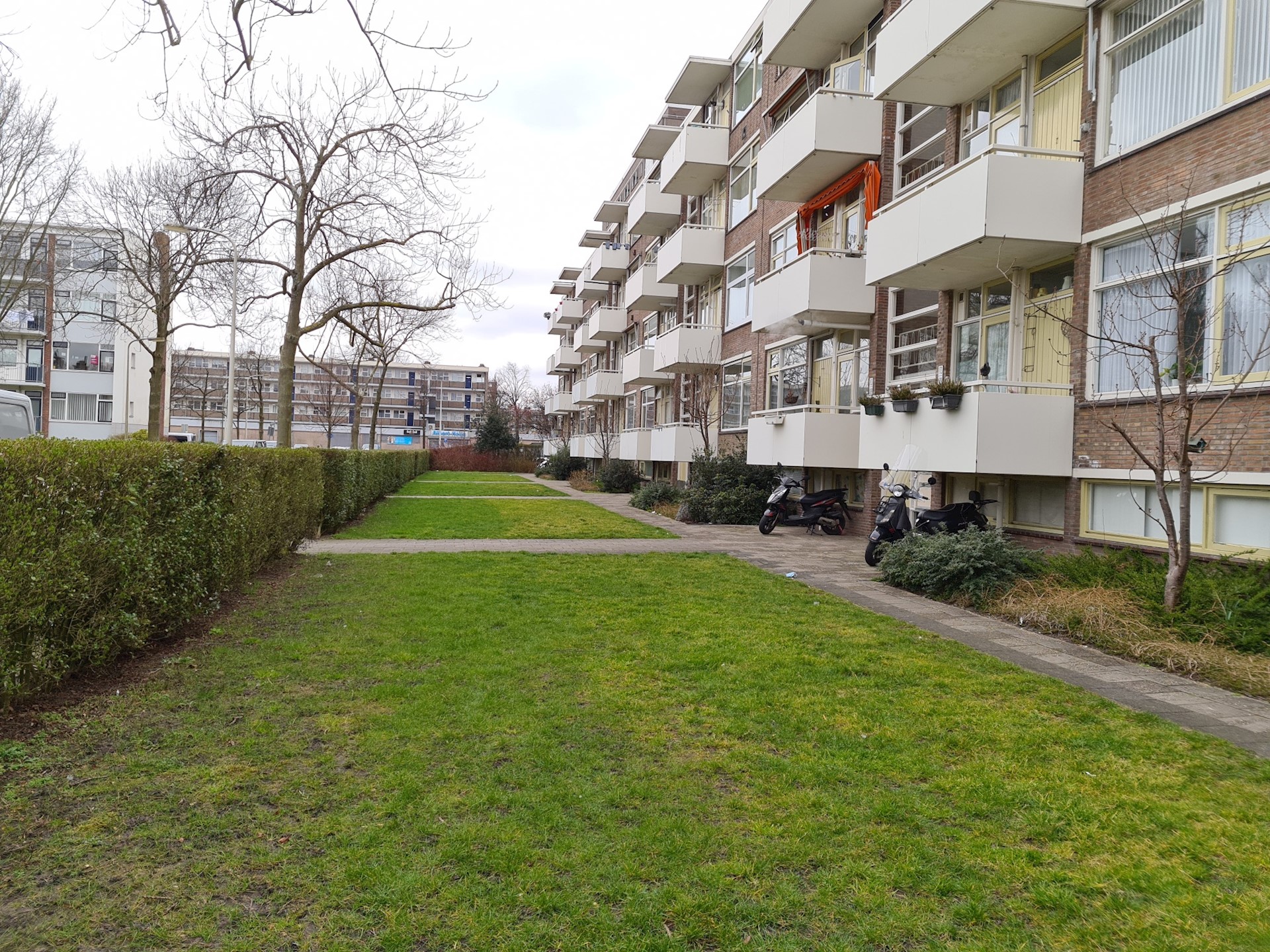 20210320 135417 Resized