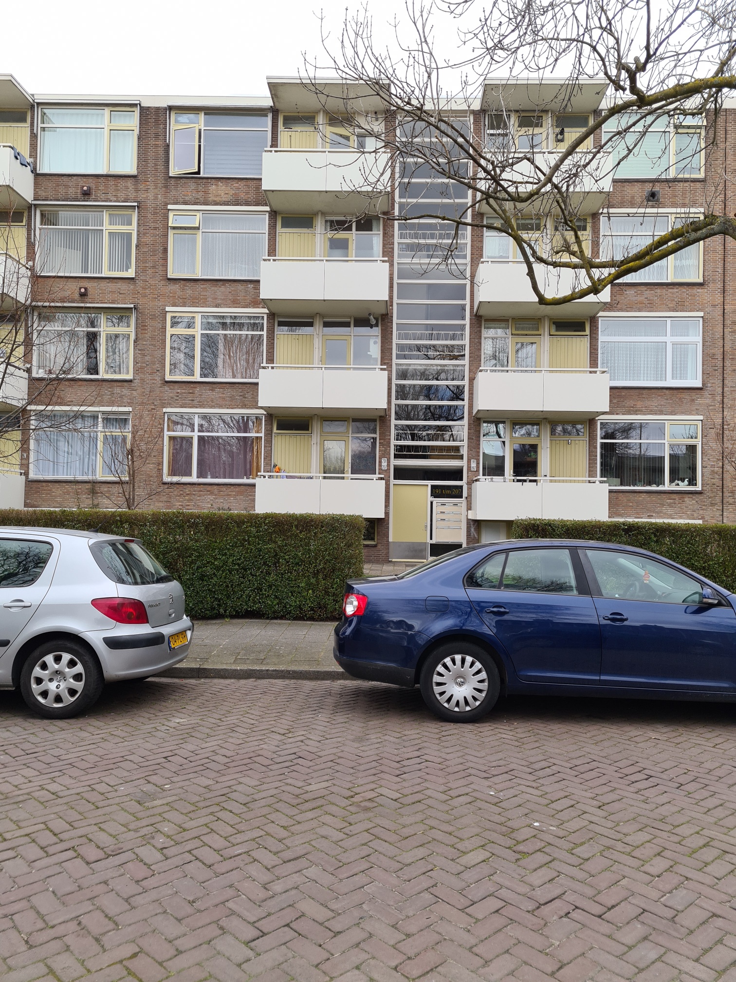 20210320 135501 Resized