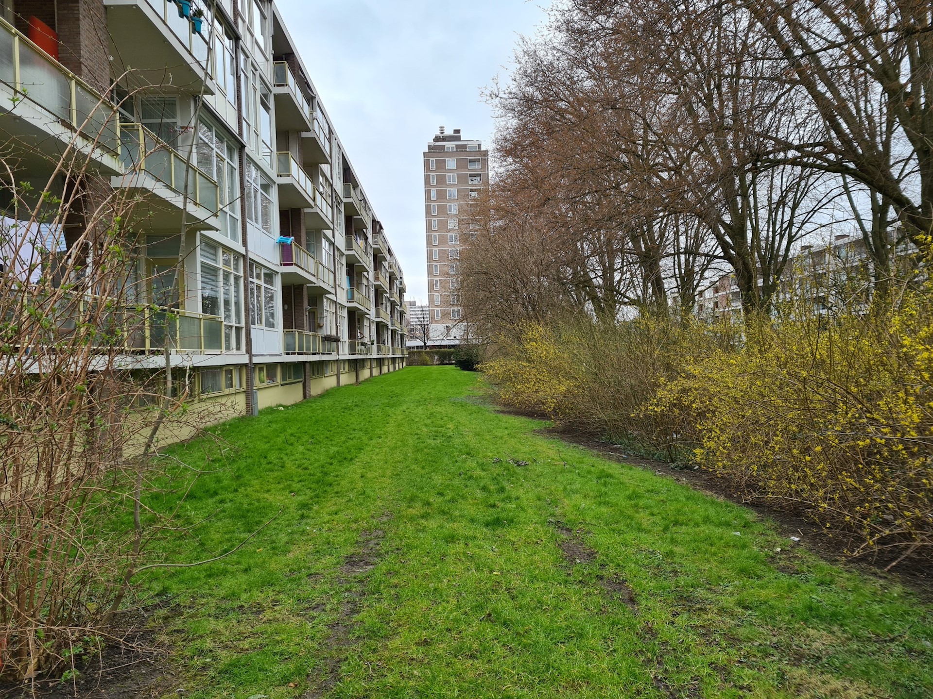 20210320 135302 Resized