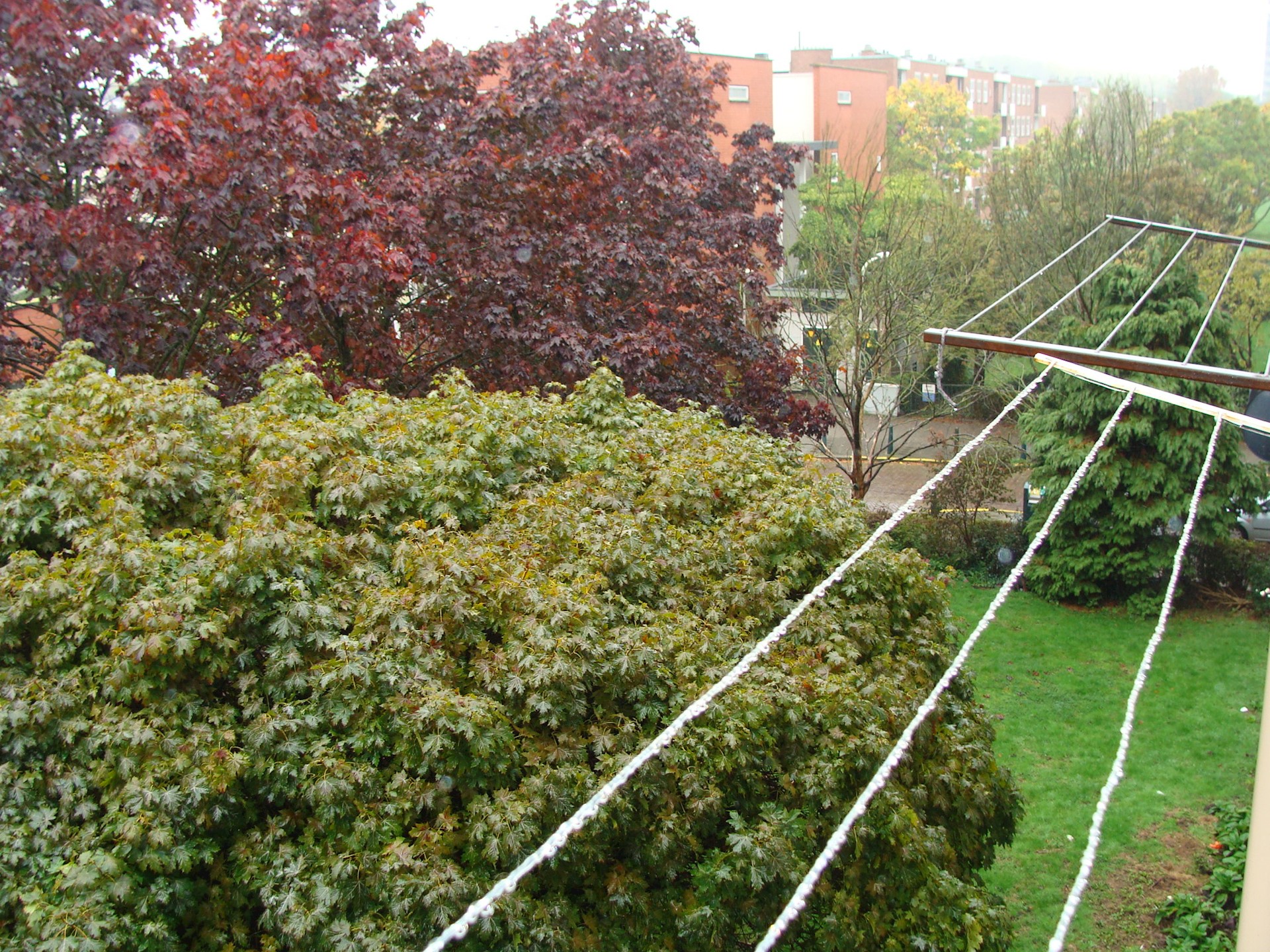 DSC09351