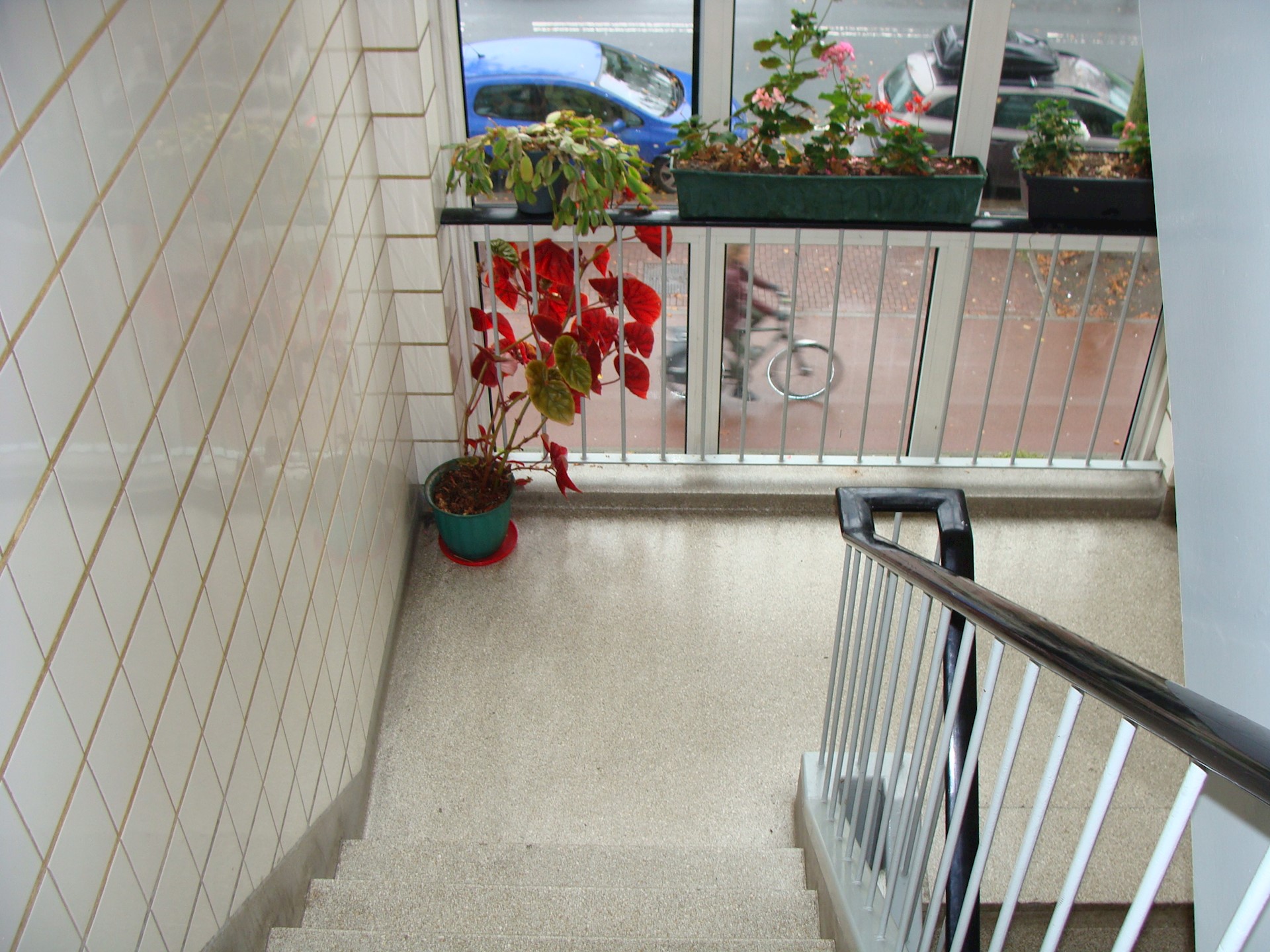 DSC09357