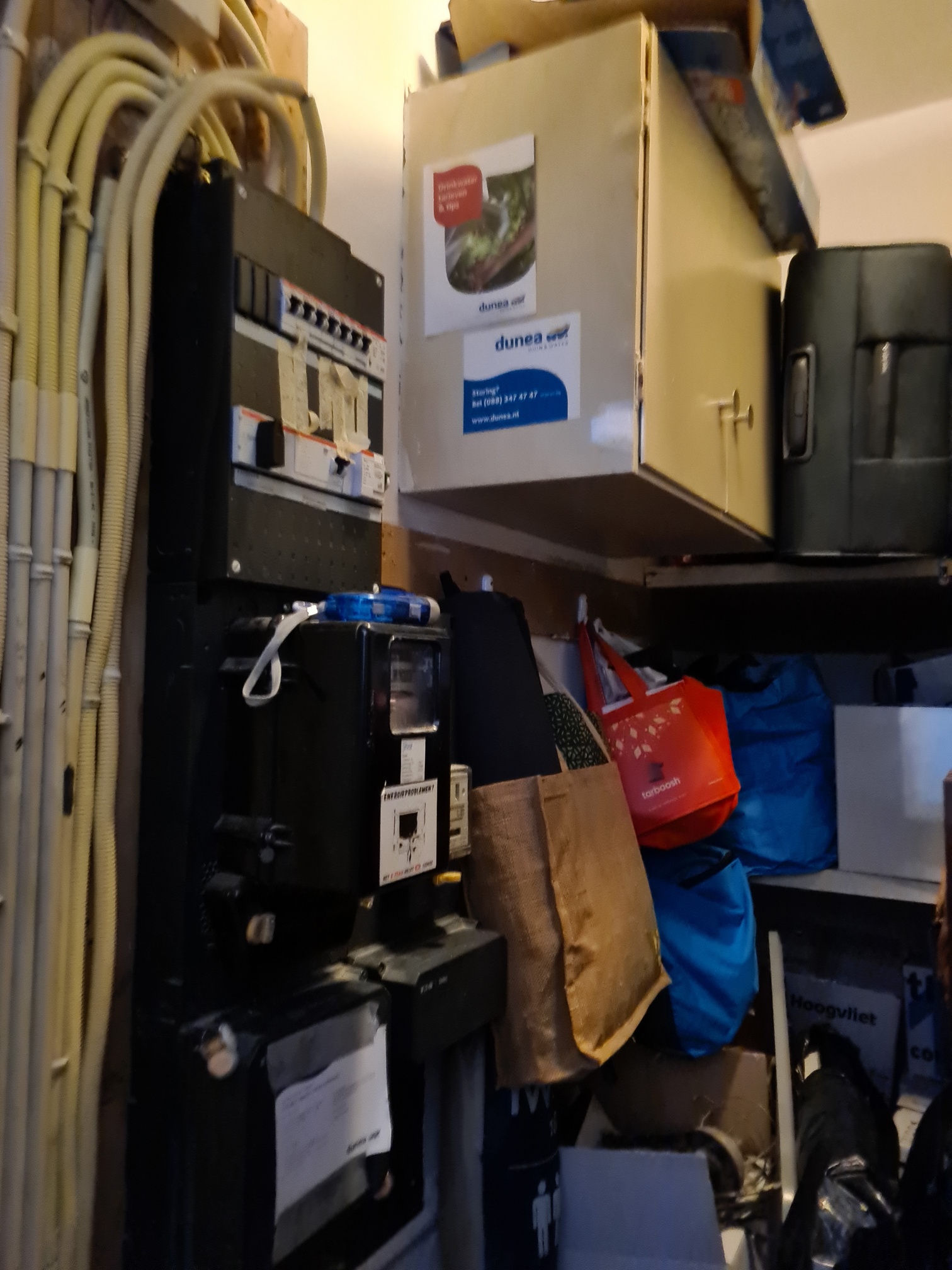 20230816 163330 Resized[84569]