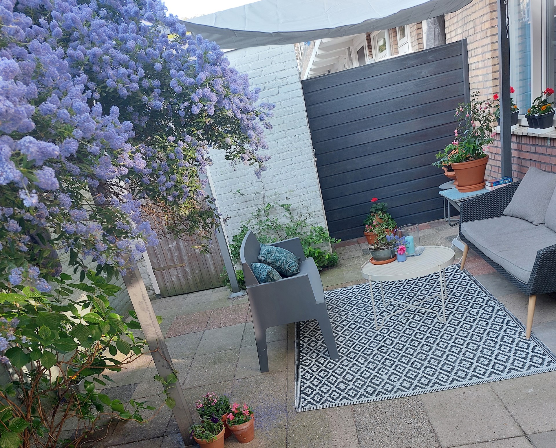 Tuin