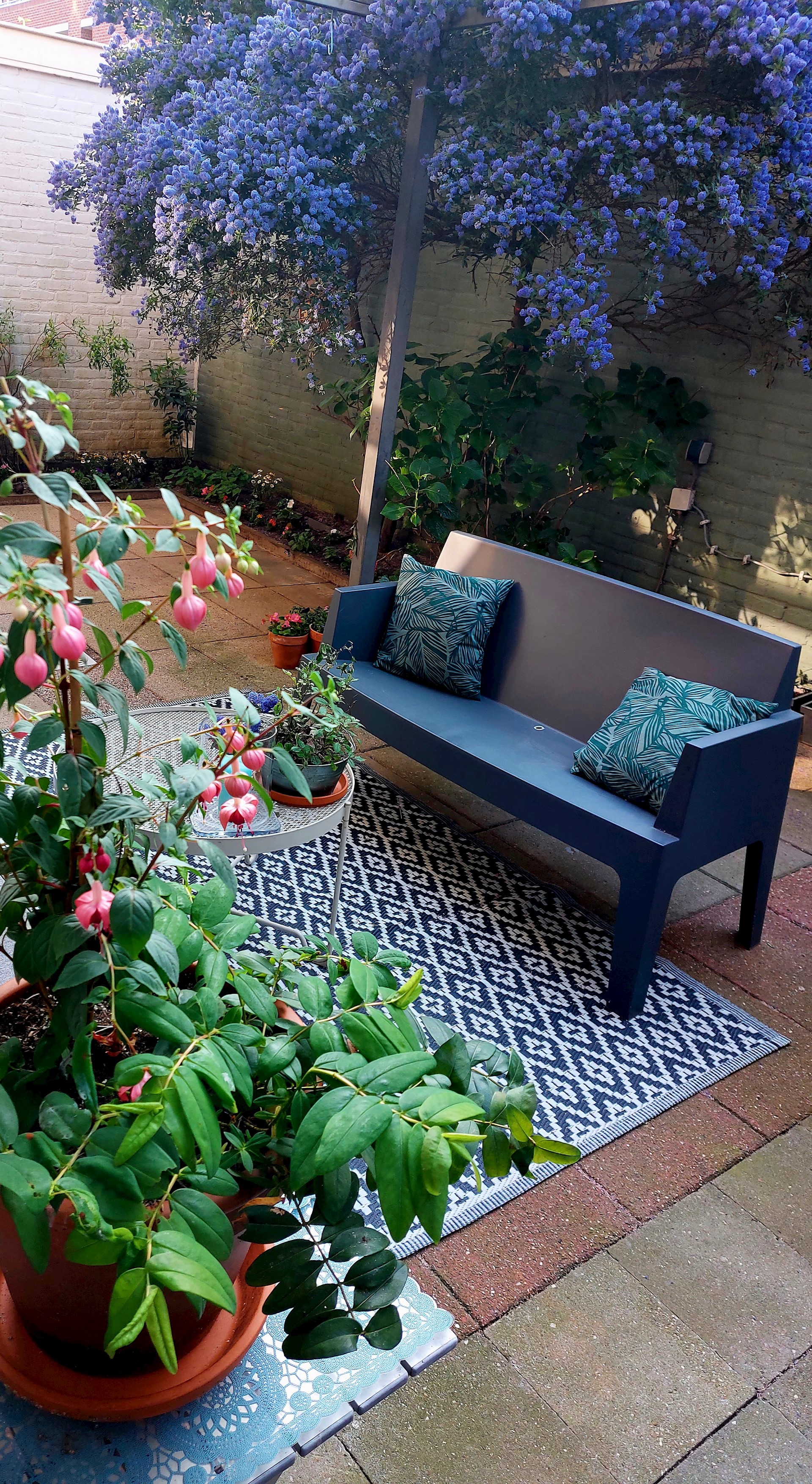 Tuin 2