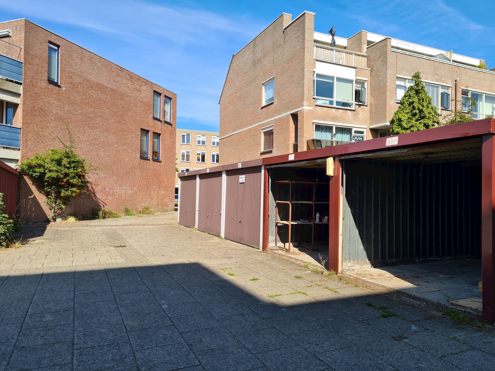 20230831 160003 Resized