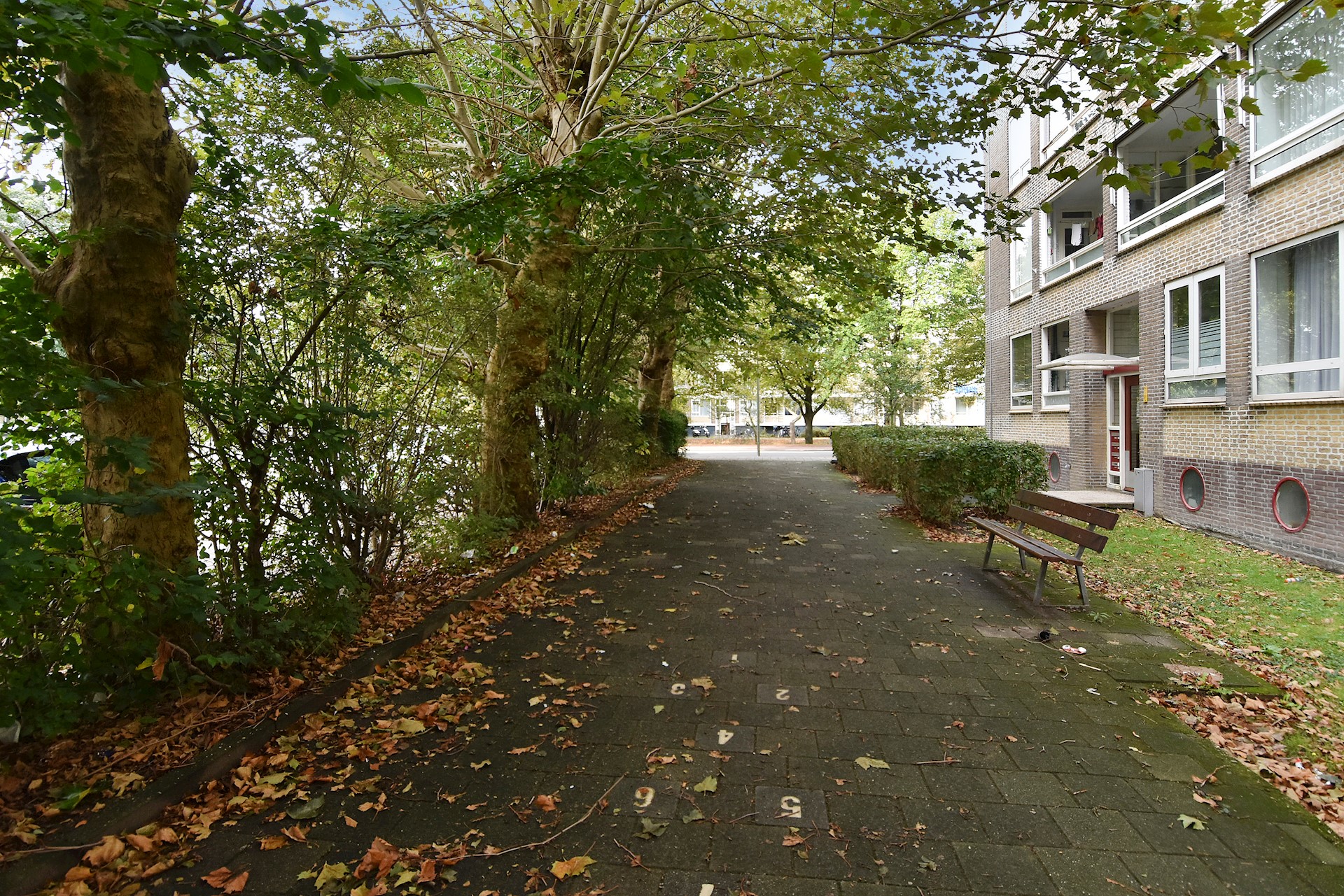 Hengelolaan 1138 5