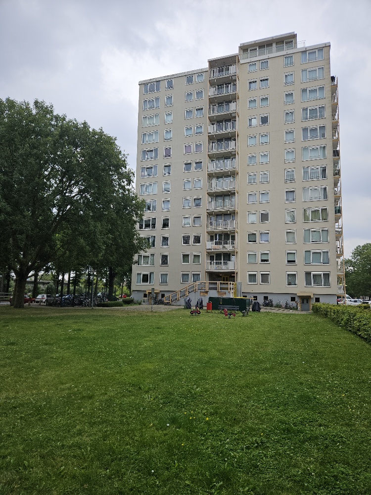 20250720 145130 Resized