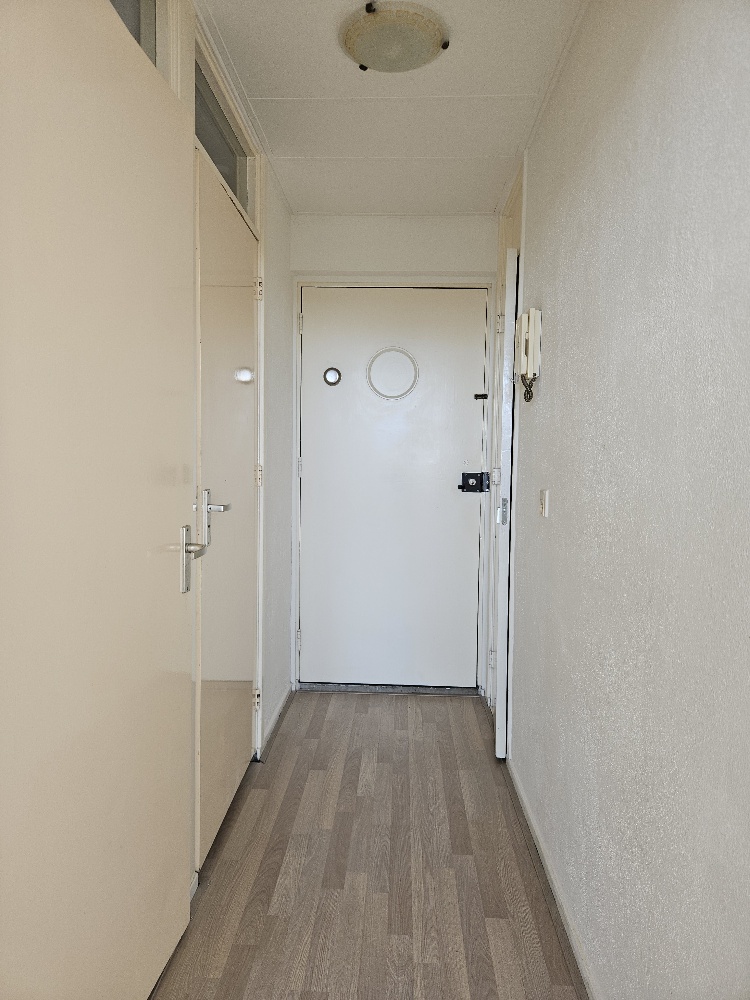 20250724 170801 Resized