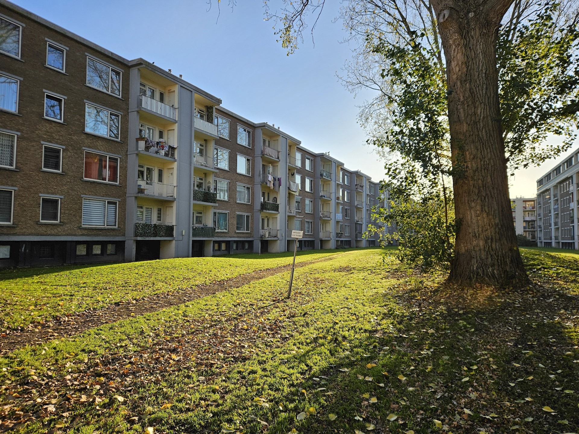 20251107 153503 Resized