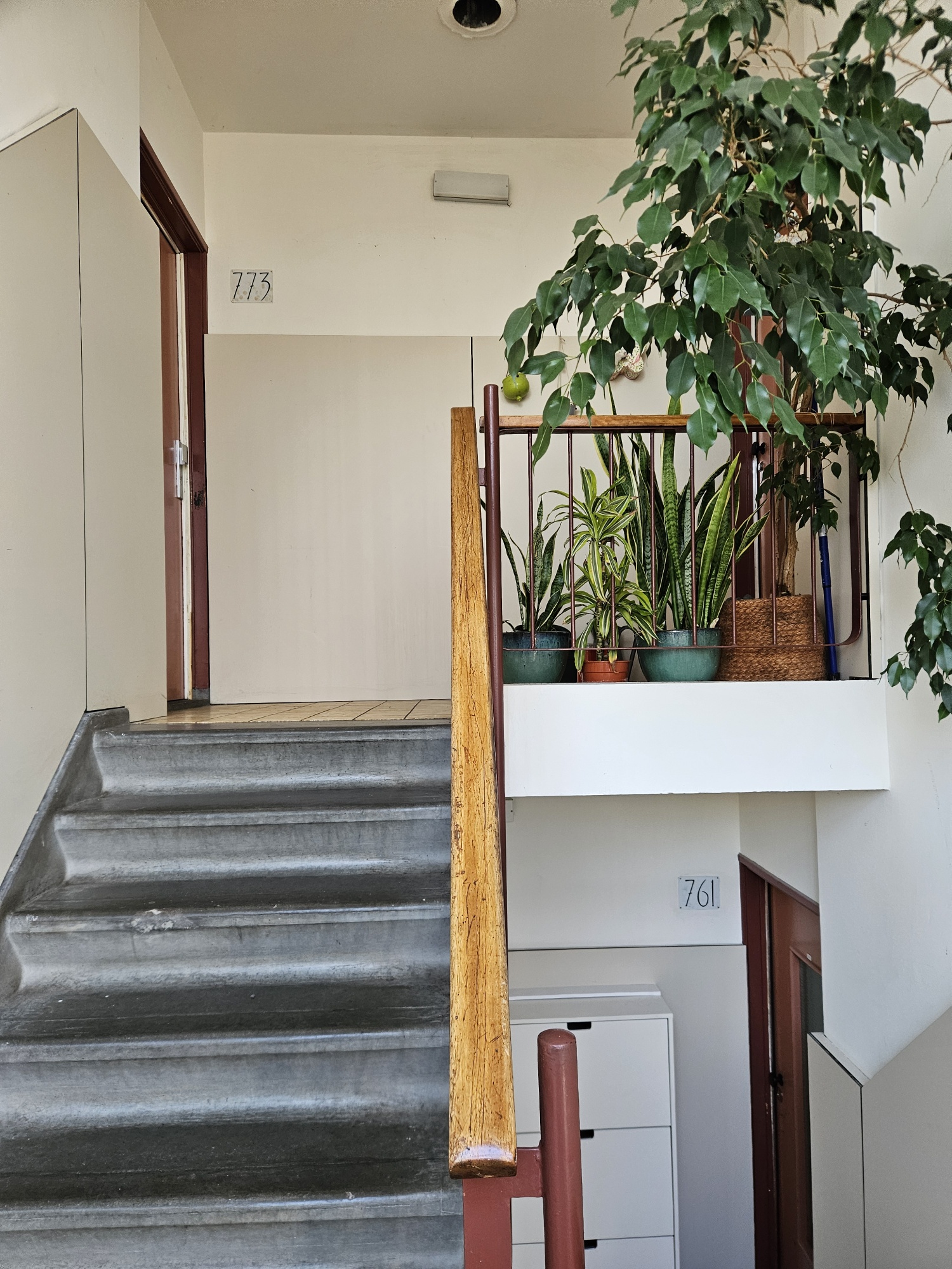 20251107 153719 Resized