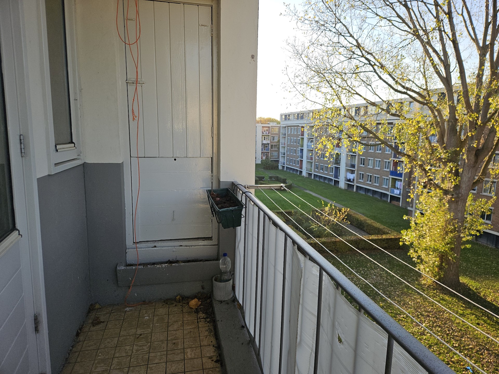 20251107 155313 Resized