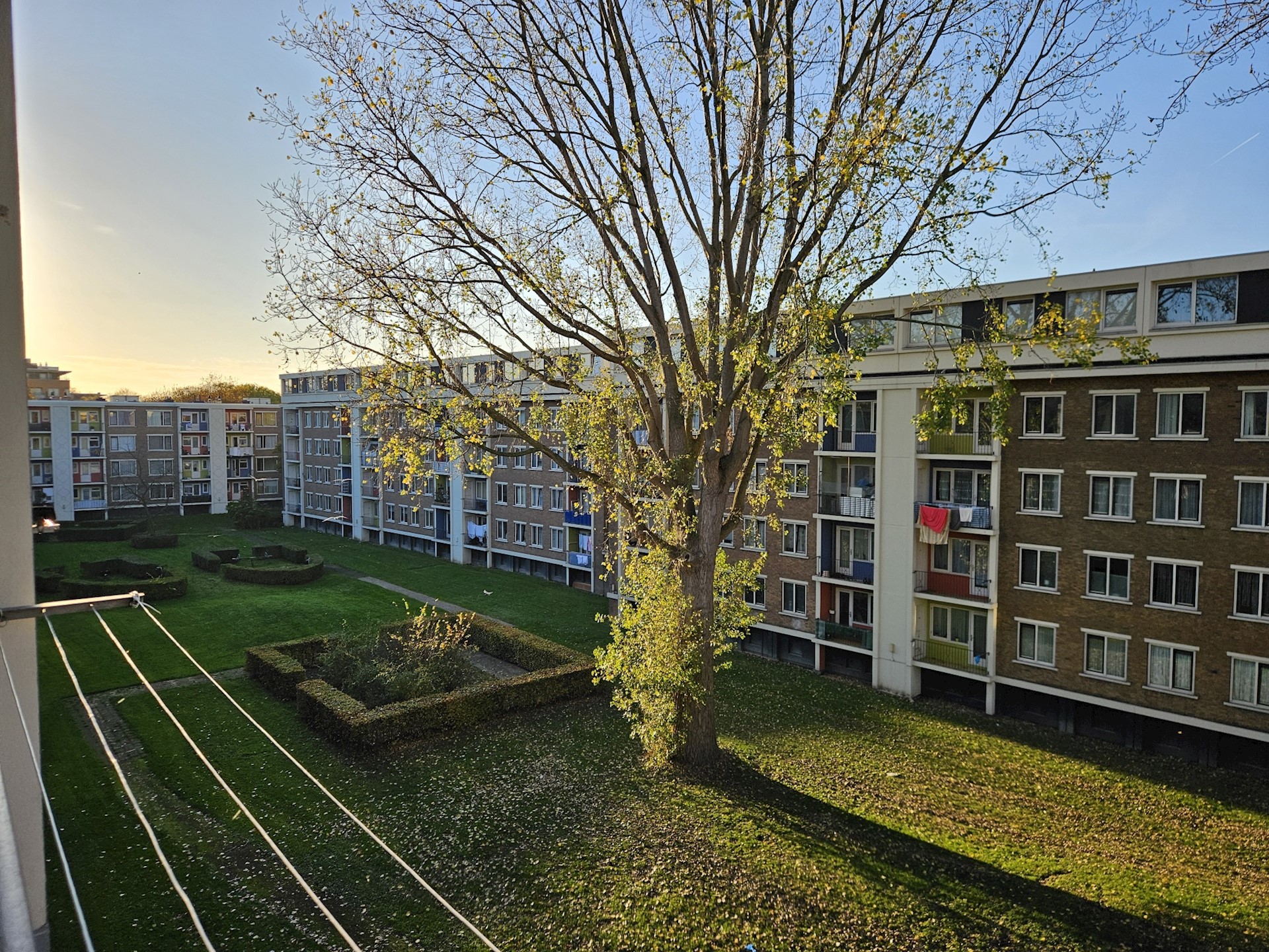 20251107 155347 Resized