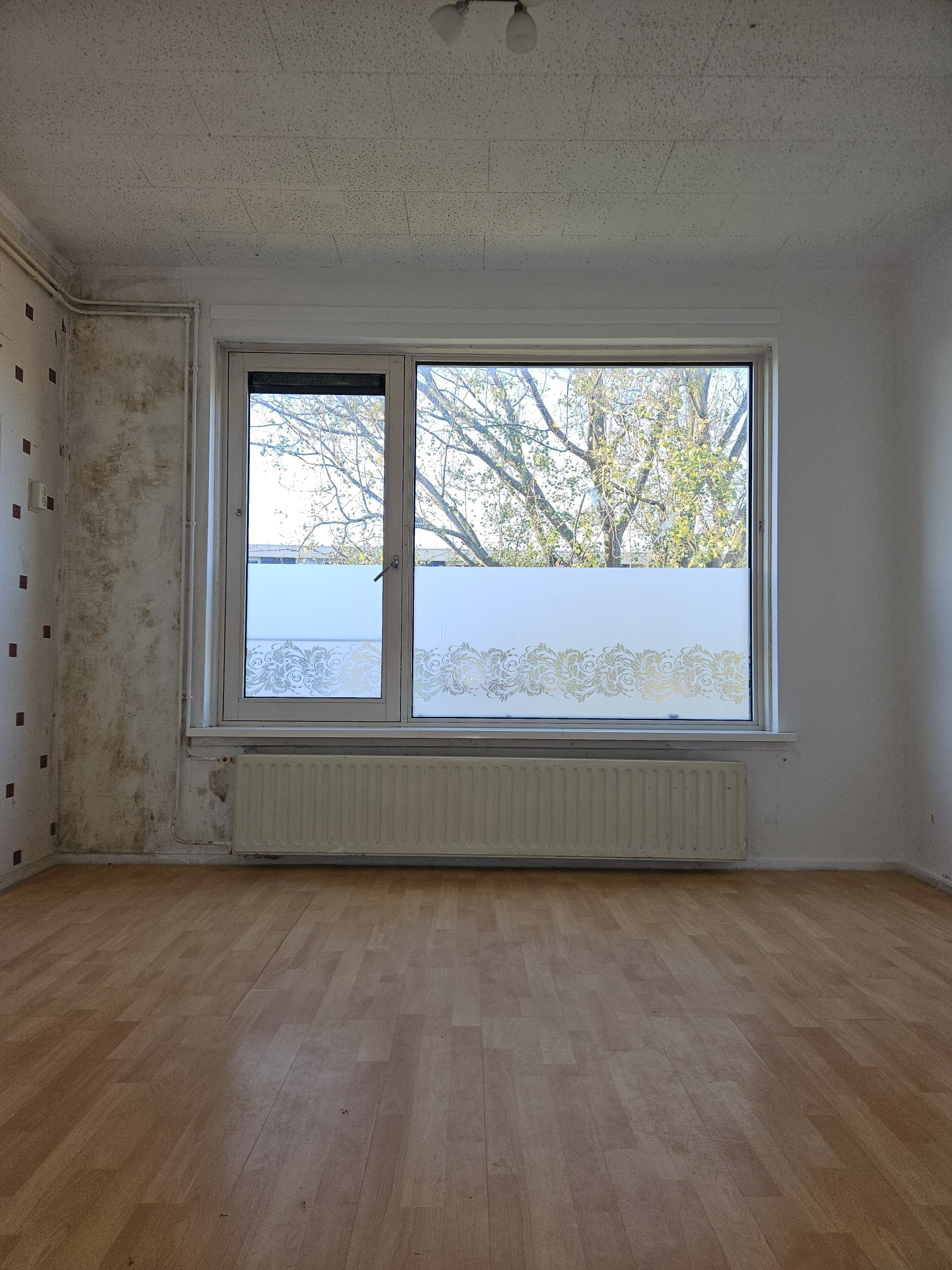 20251107 155837 Resized