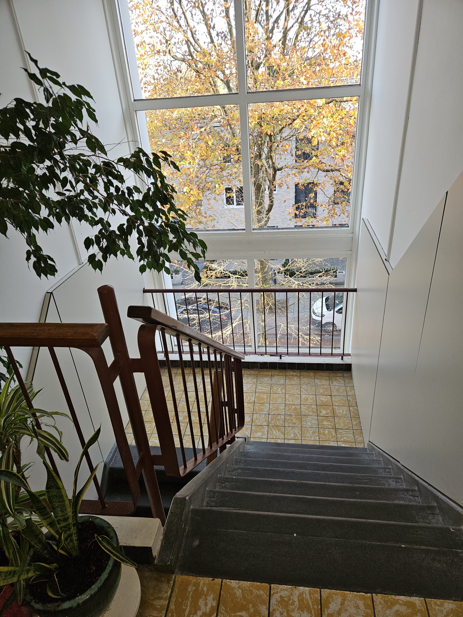 20251107 161002 Resized