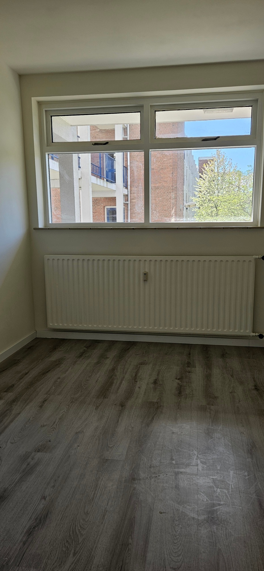 769945006 20260420 154225 2016135 Resized