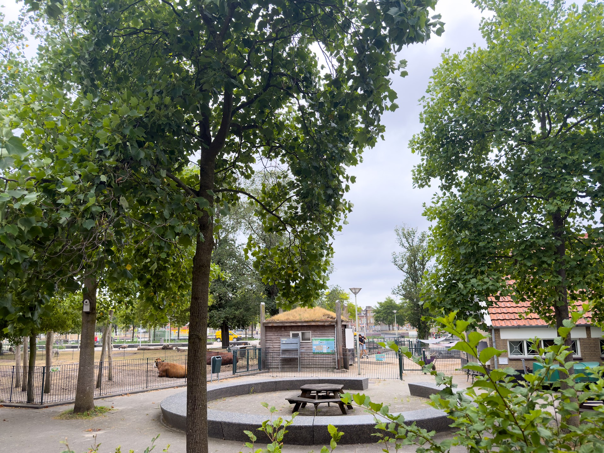 De Heemstraat 20A Den Haag 33