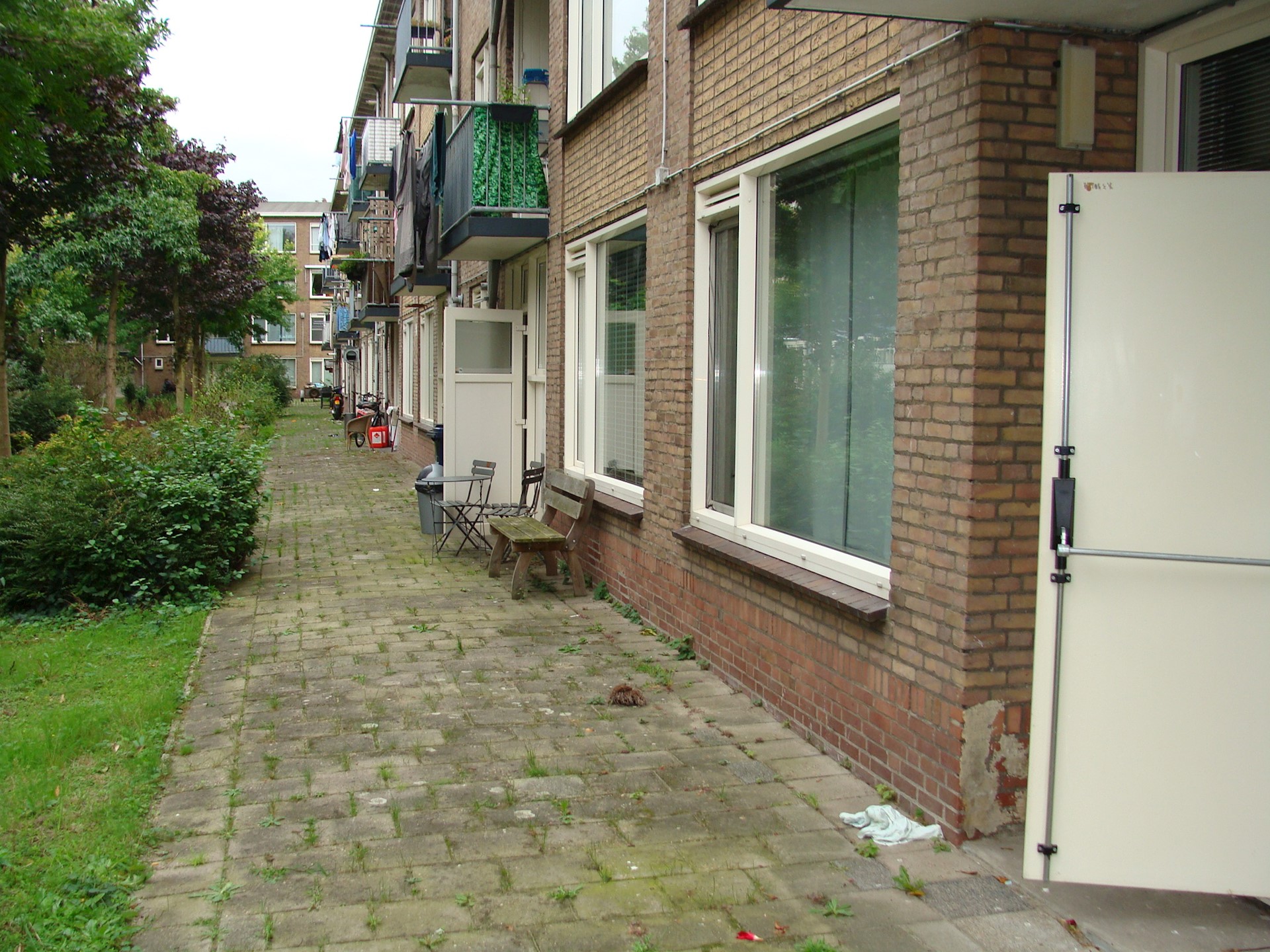 DSC09437