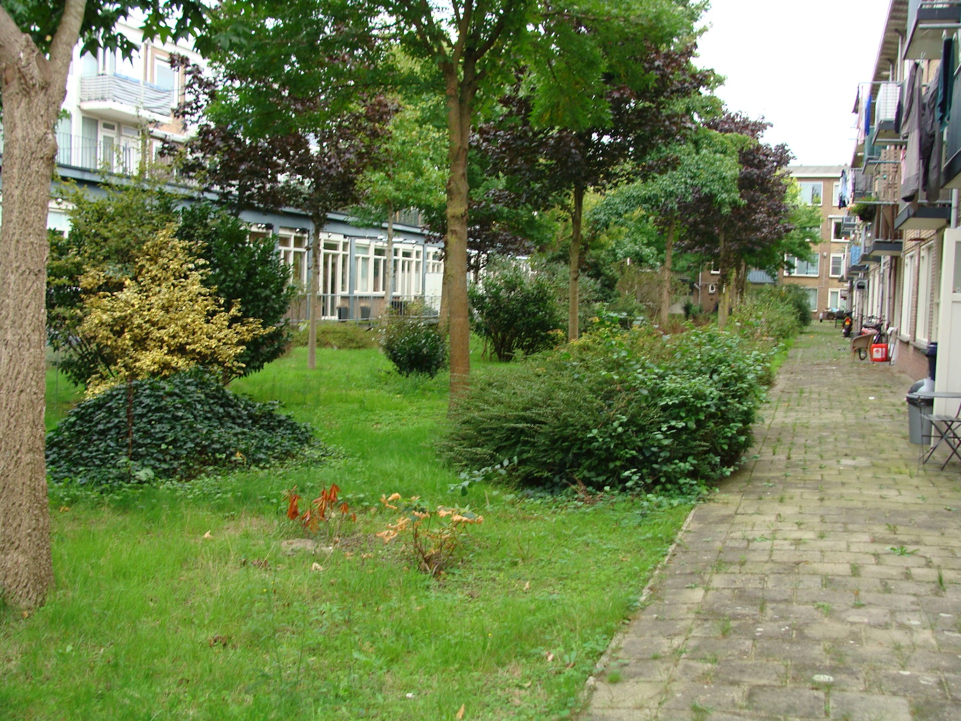 DSC09438