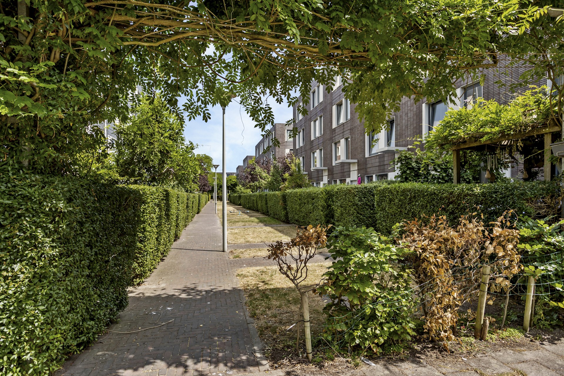 Goudslagersgaarde 20 41